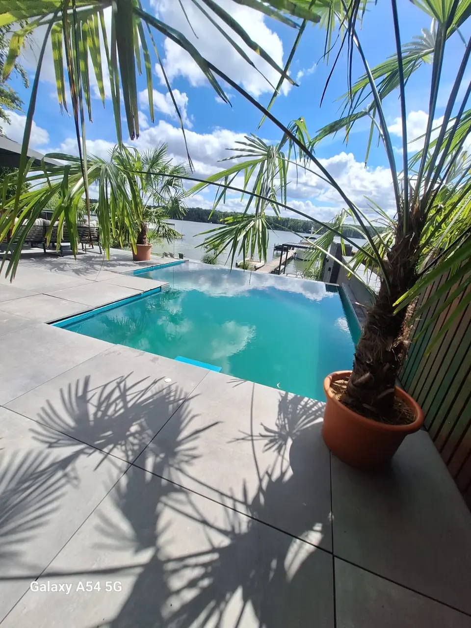 Poolanlage unter Palmen am Wasser – No1Pool